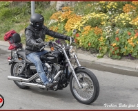 bike246   L5I0248